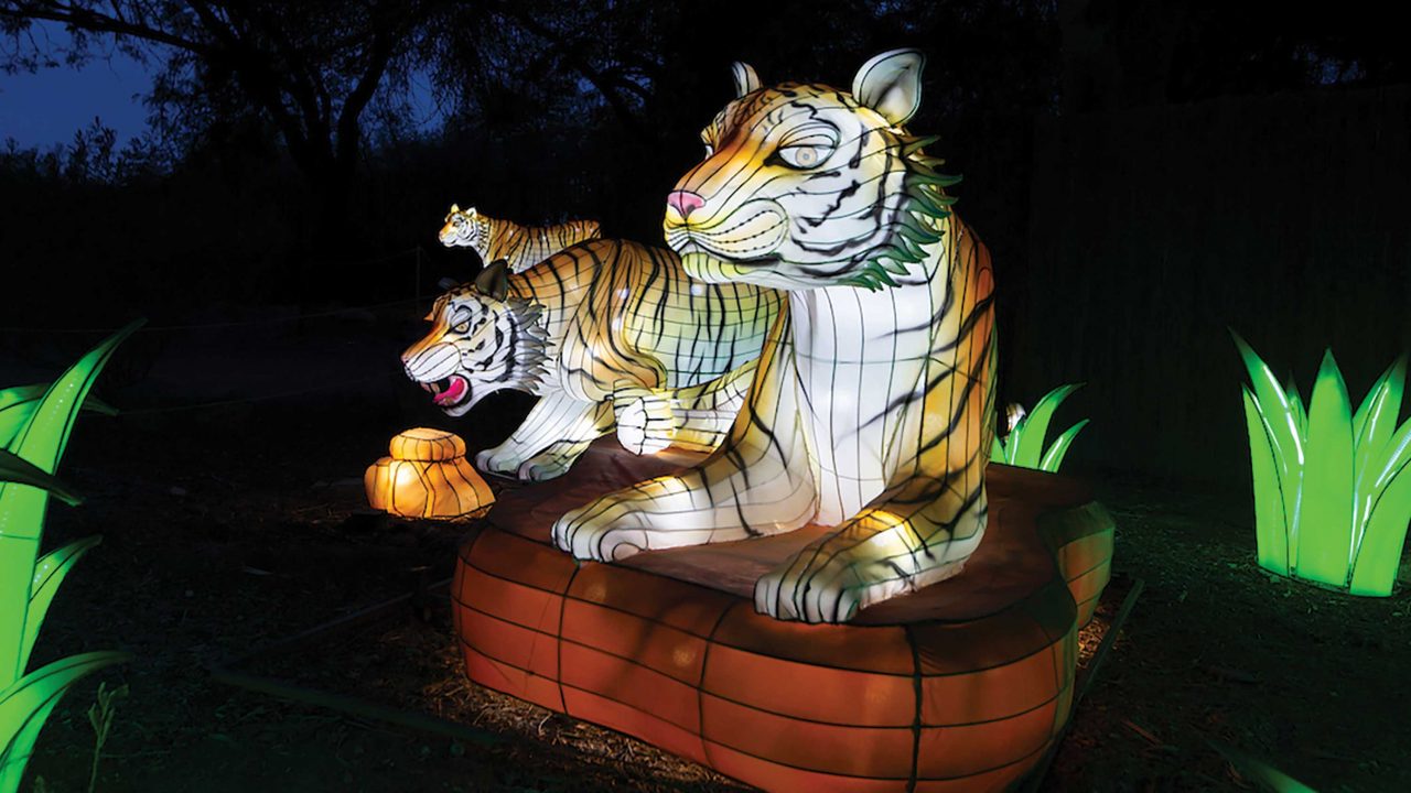 https://www.phoenixmag.com/wp-content/uploads/2022/11/zoolights-pm-1280x720.jpg
