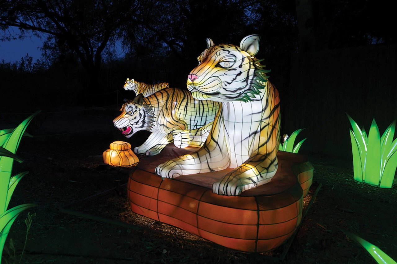 https://www.phoenixmag.com/wp-content/uploads/2022/11/zoolights-pm-1280x853.jpg