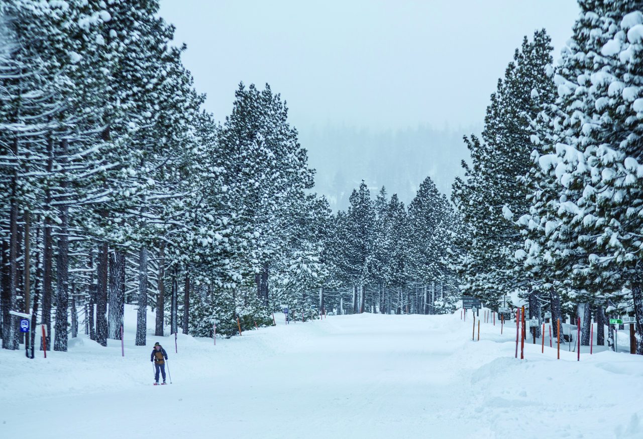 https://www.phoenixmag.com/wp-content/uploads/2023/01/Sierra-1280x875.jpg