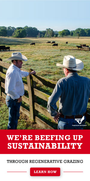 National Cattlemen's Beef Association https://www.phoenixmag.com/wp-content/uploads/2023/02/1675985533___FY22_ReputationManagement_DigitalBanners_300x600-1.jpg