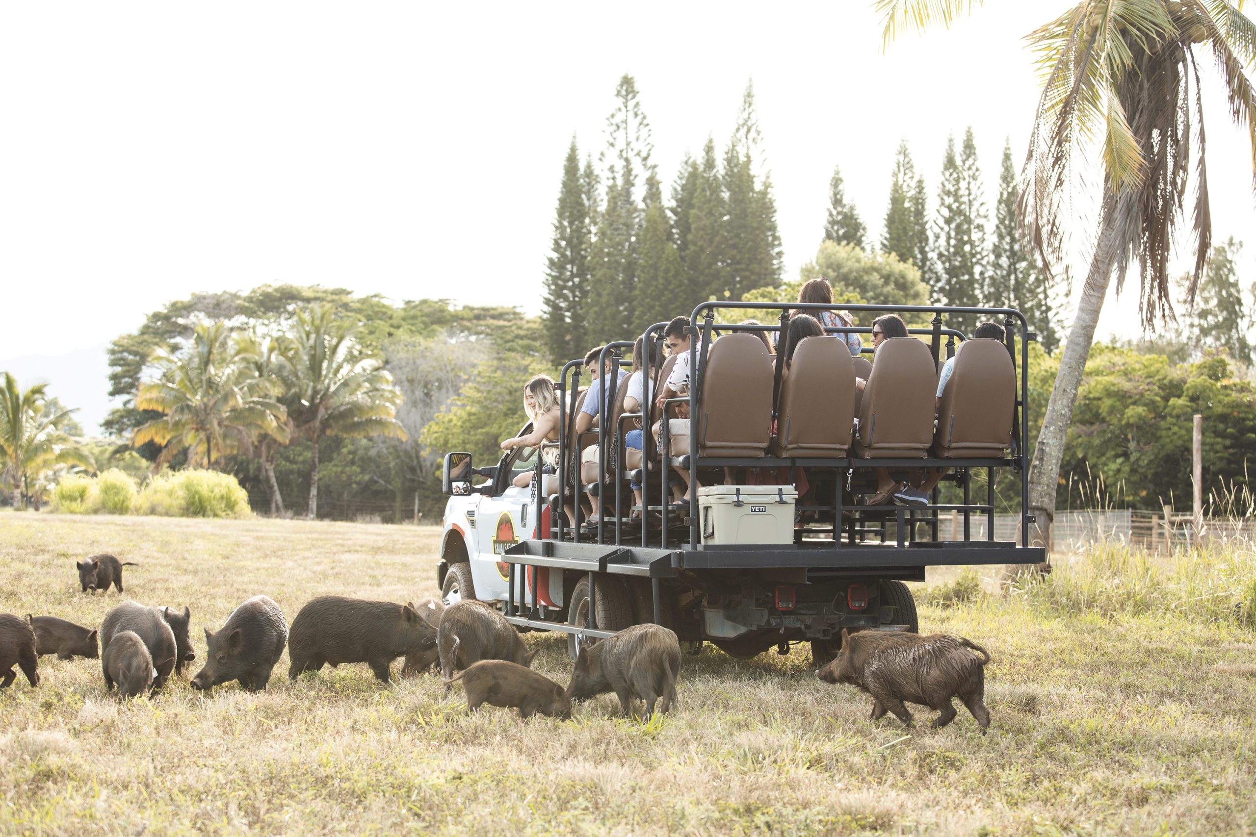 Kauai Safaris; Photo courtesy krs media