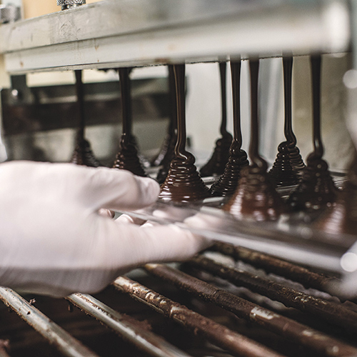 Chocolate Farm Tour at Lydgate Farms; Photo courtesy Lydgate Farms