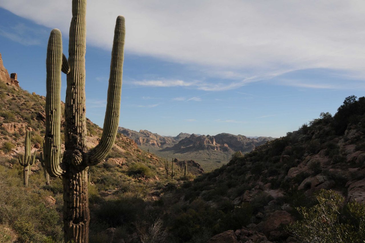 https://www.phoenixmag.com/wp-content/uploads/2023/04/BarksCanyon239-1280x853.jpg