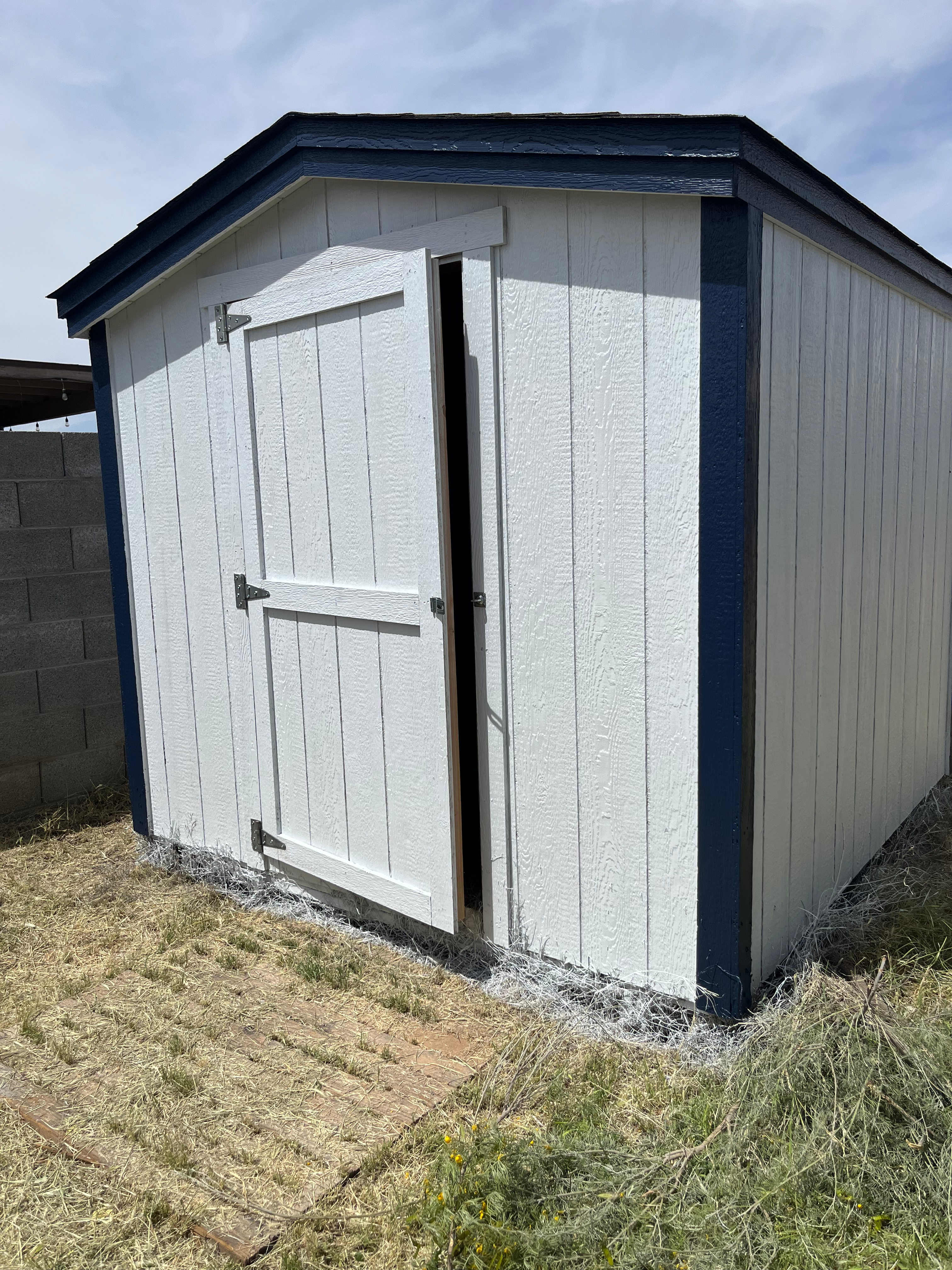 The backyard shed with new coat of paint | Photo courtesy of Letitia Discoe