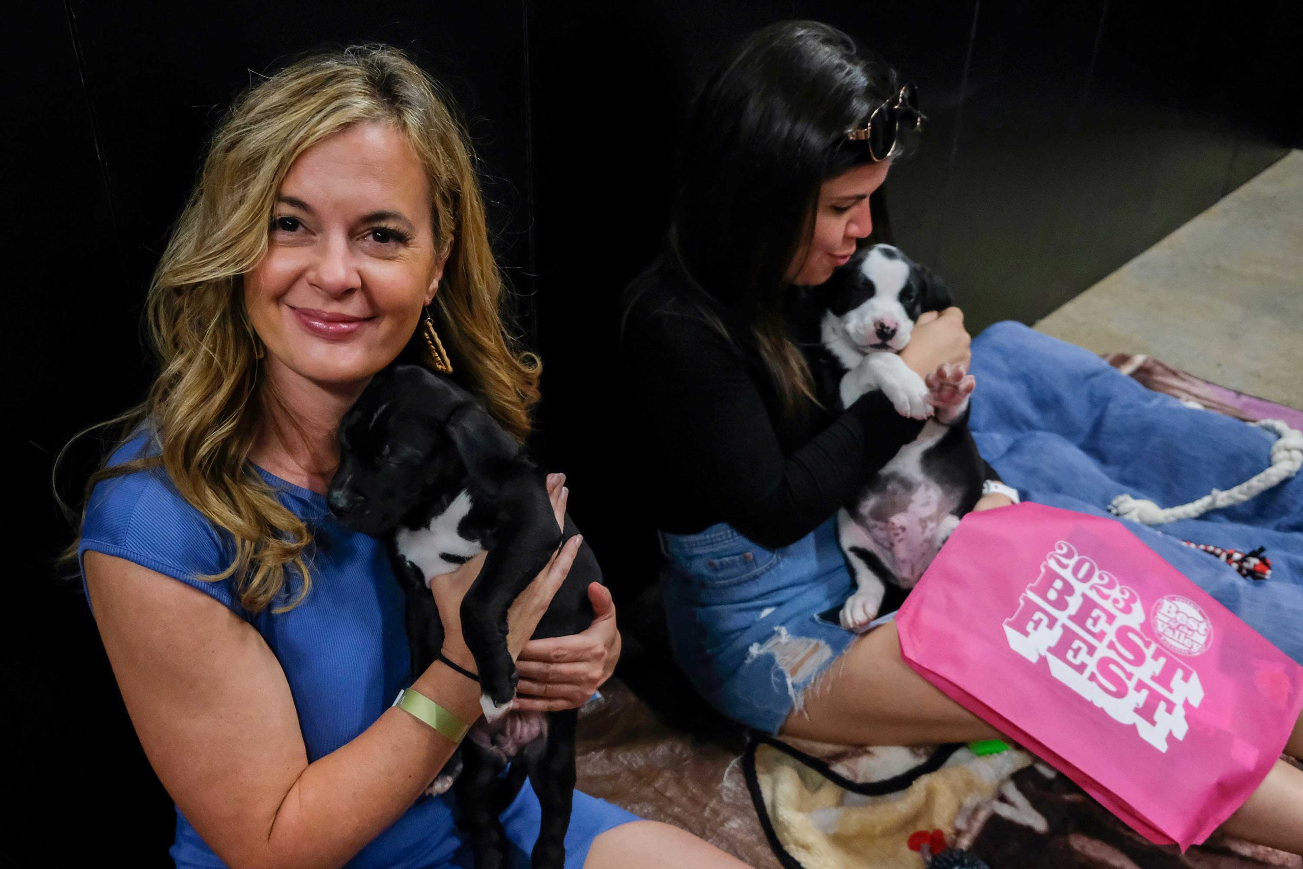 dawn-with-puppies