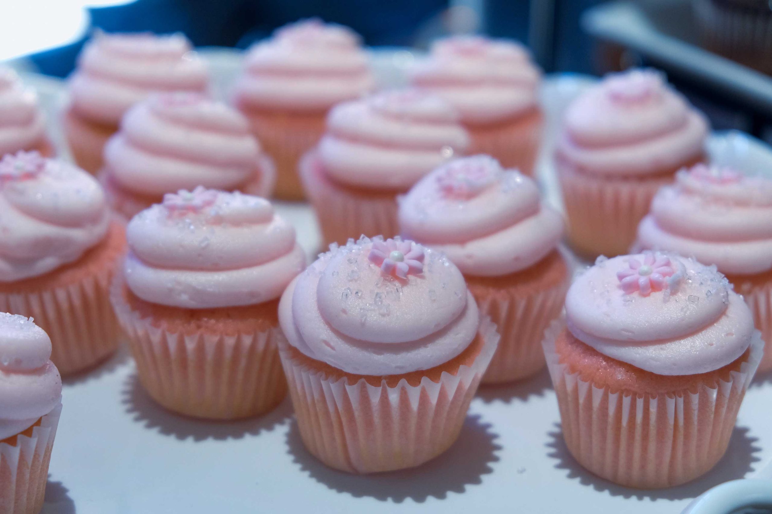 frosted-frenzy-cupcakes
