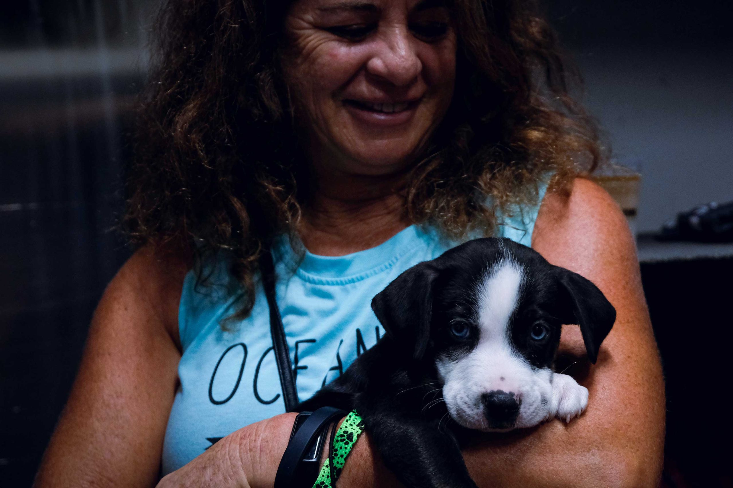 puppy