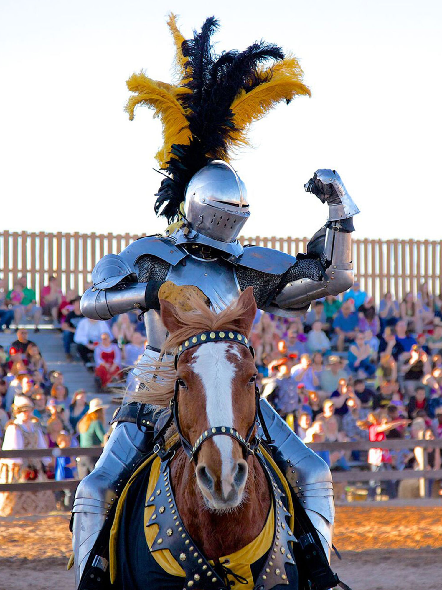 MaxYlwBlckKnight_2 https://www.phoenixmag.com/wp-content/uploads/2023/10/MaxYlwBlckKnight_2.jpg