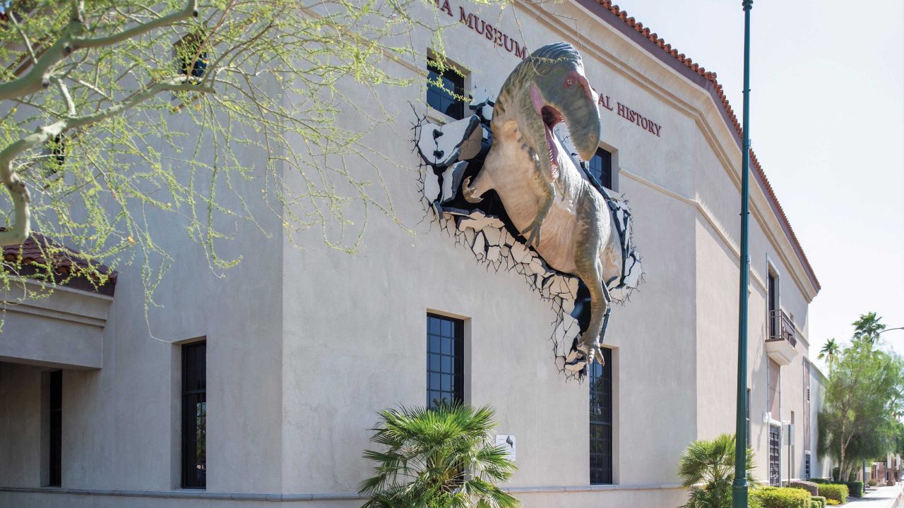 https://www.phoenixmag.com/wp-content/uploads/2023/10/arizona-museum-natural-history-1280x720.jpg