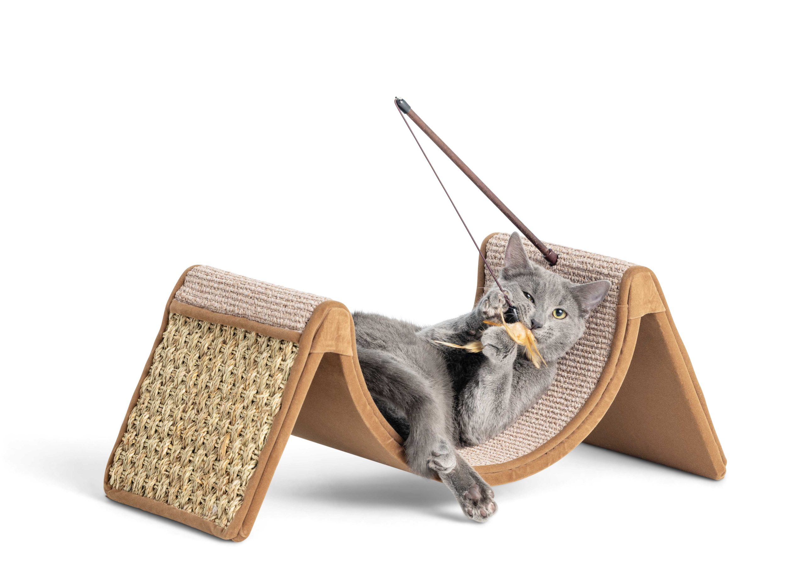 petsmart https://www.phoenixmag.com/wp-content/uploads/2023/11/petsmart-scaled.jpg