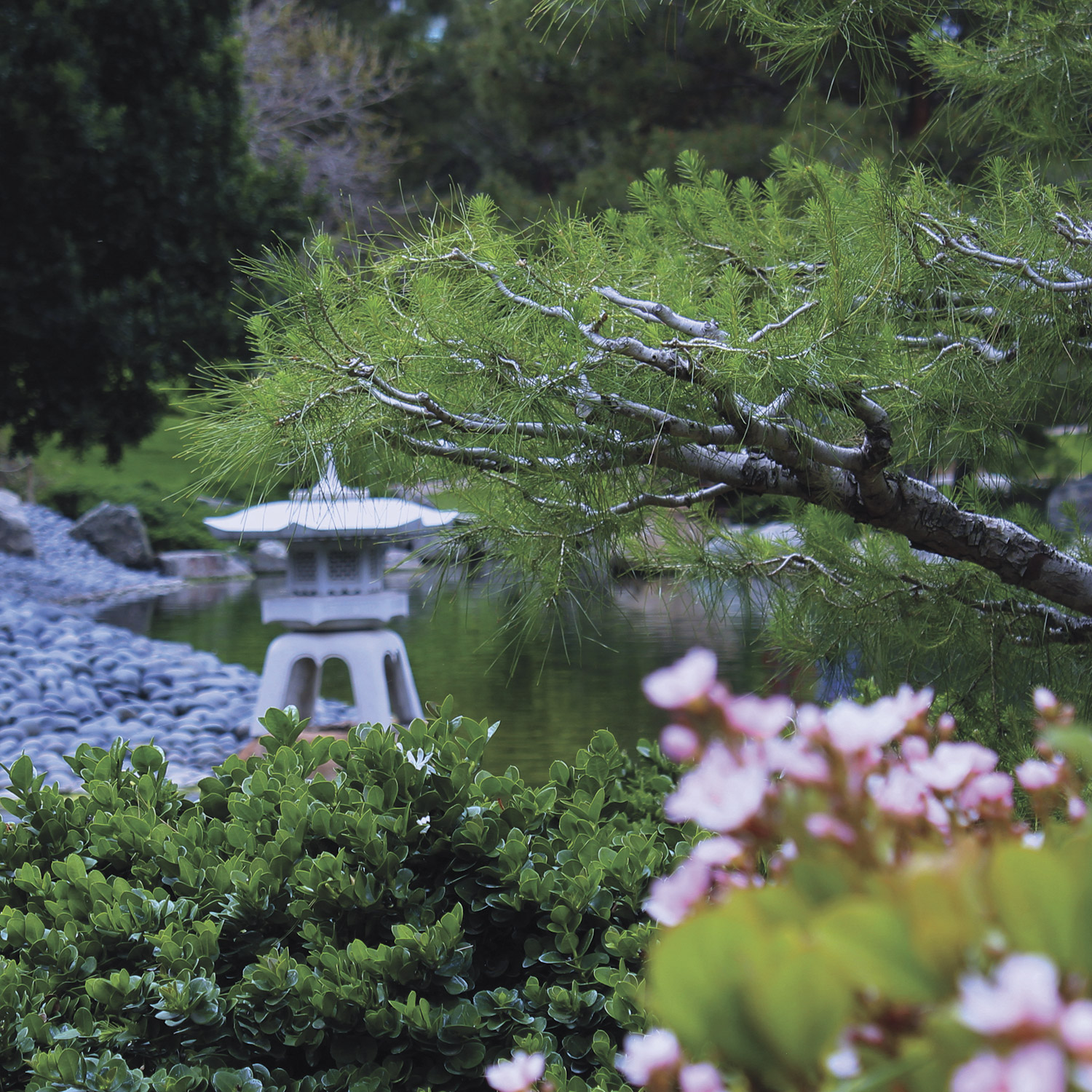 Japanese Friendship Garden of Phoenix; photo courtesy Visit Phoenix