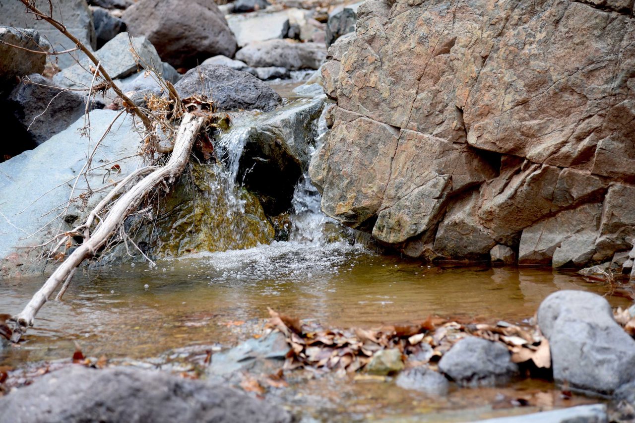 https://www.phoenixmag.com/wp-content/uploads/2024/02/FallsSpurPath76-1280x853.jpg