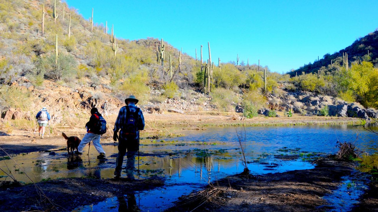 https://www.phoenixmag.com/wp-content/uploads/2024/04/KMineRiver57-1280x720.jpg