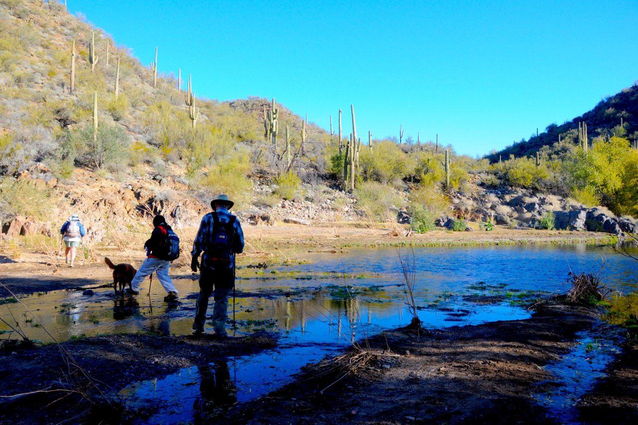 https://www.phoenixmag.com/wp-content/uploads/2024/04/KMineRiver57-1280x853.jpg