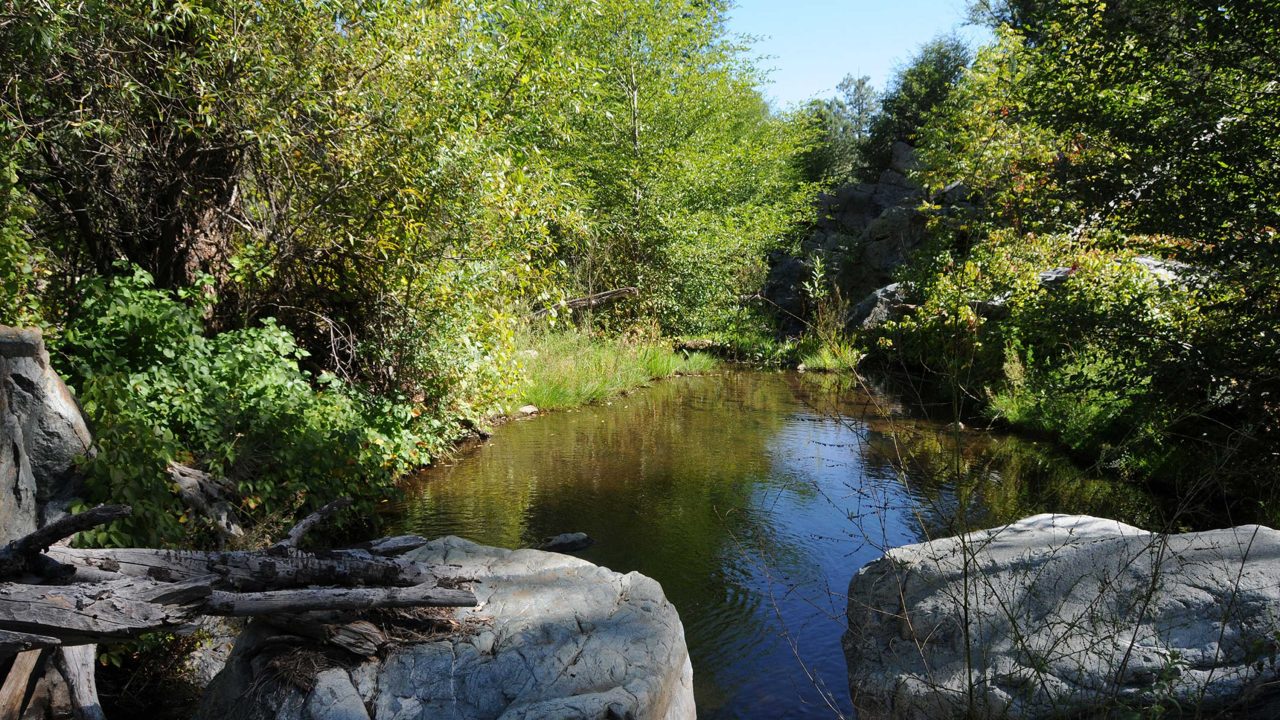 https://www.phoenixmag.com/wp-content/uploads/2024/04/LynxCreek98-1280x720.jpg