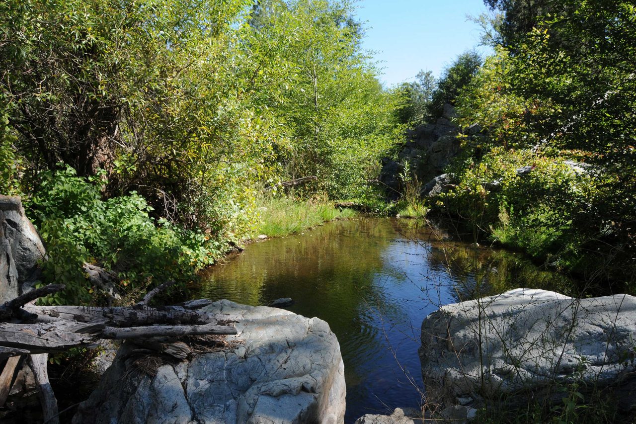 https://www.phoenixmag.com/wp-content/uploads/2024/04/LynxCreek98-1280x853.jpg