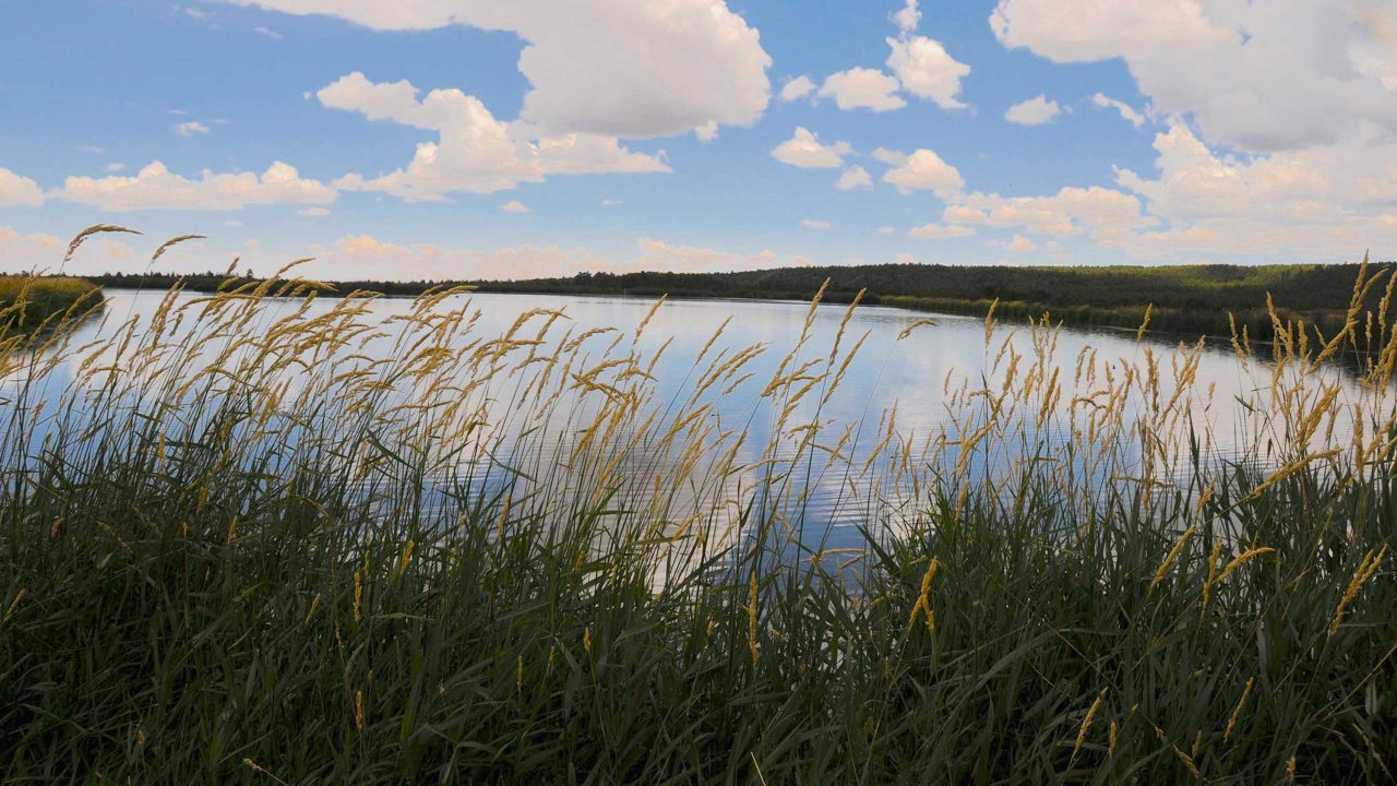 https://www.phoenixmag.com/wp-content/uploads/2024/05/BlueSky12-1280x720.jpg