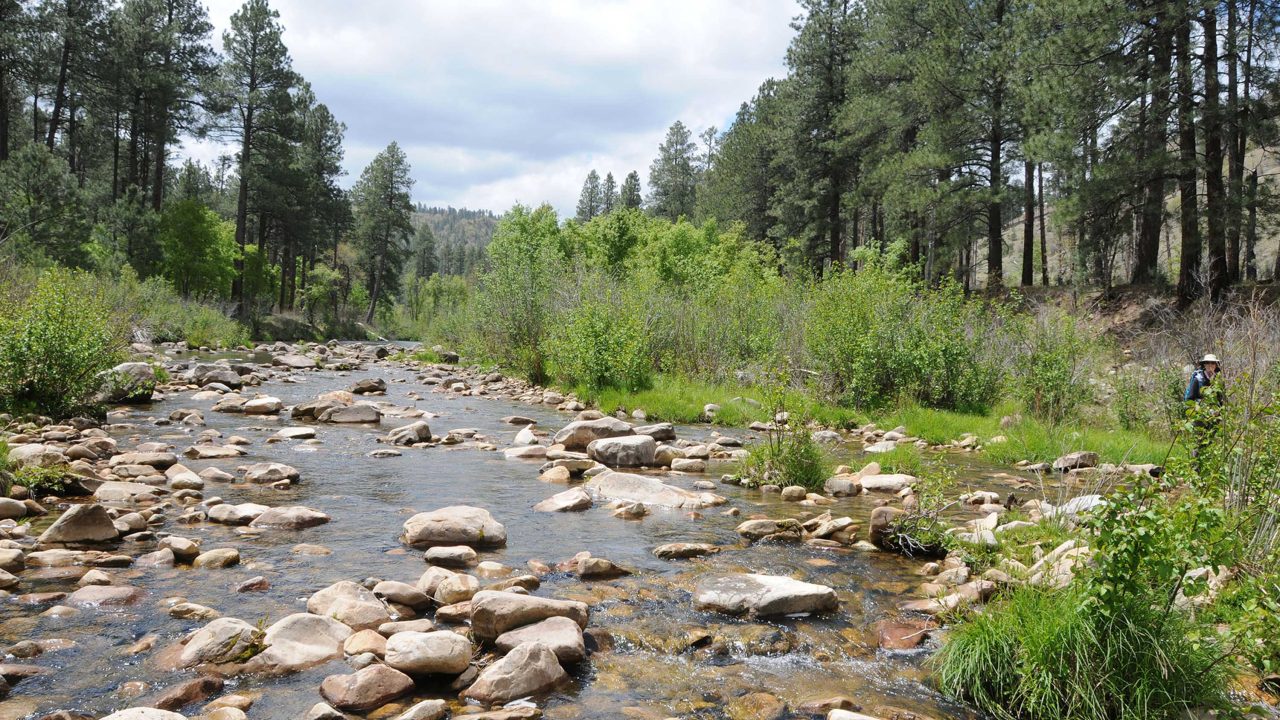 https://www.phoenixmag.com/wp-content/uploads/2024/05/ChevelonCreek829-1280x720.jpg