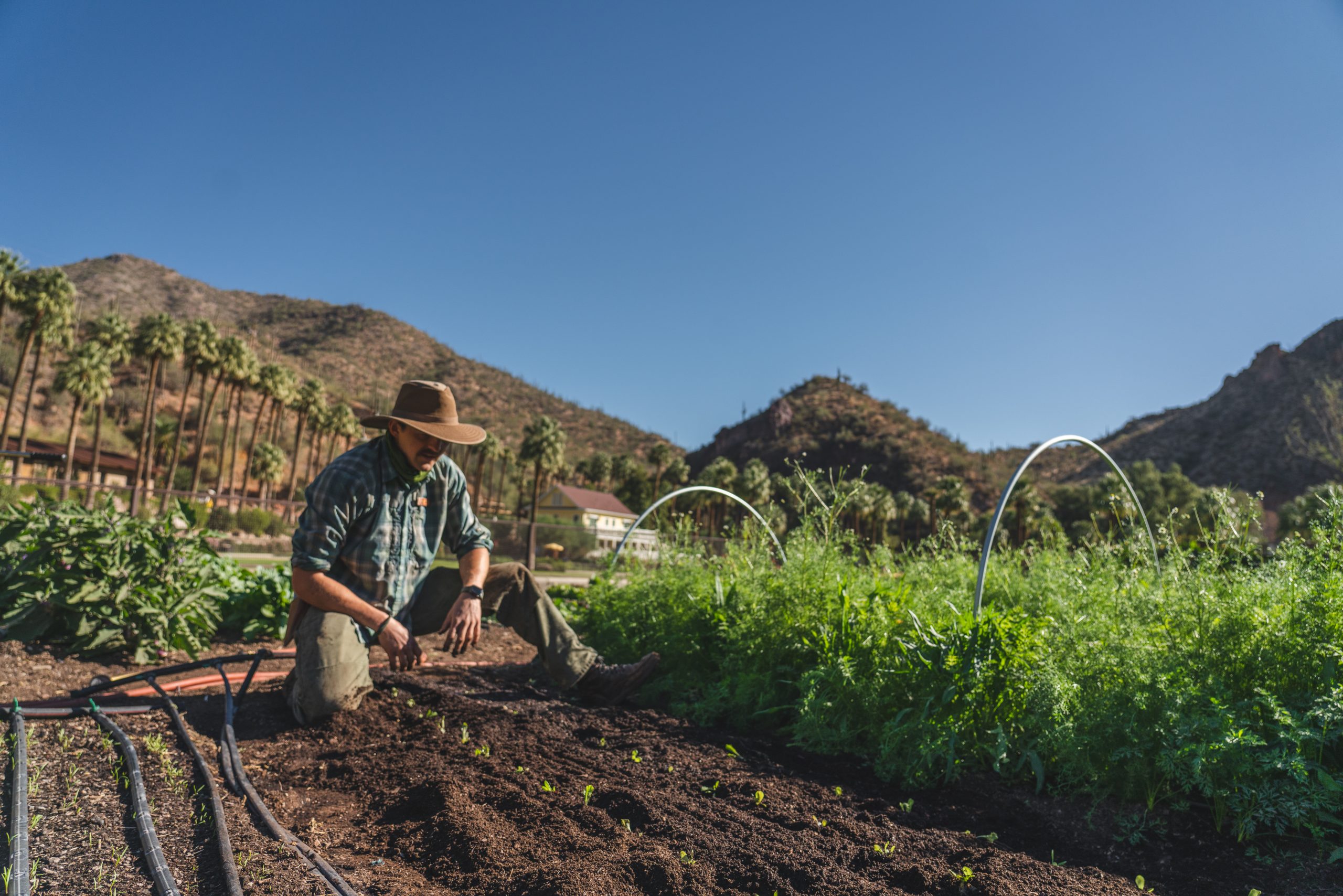 Farm https://www.phoenixmag.com/wp-content/uploads/2024/05/Farm-scaled.jpg