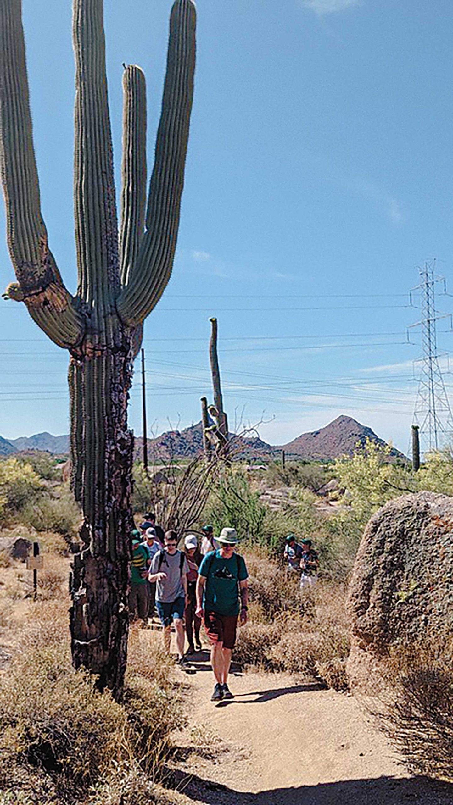 Photo by Laurel Darren/Courtesy WIld Bunch Desert Guides