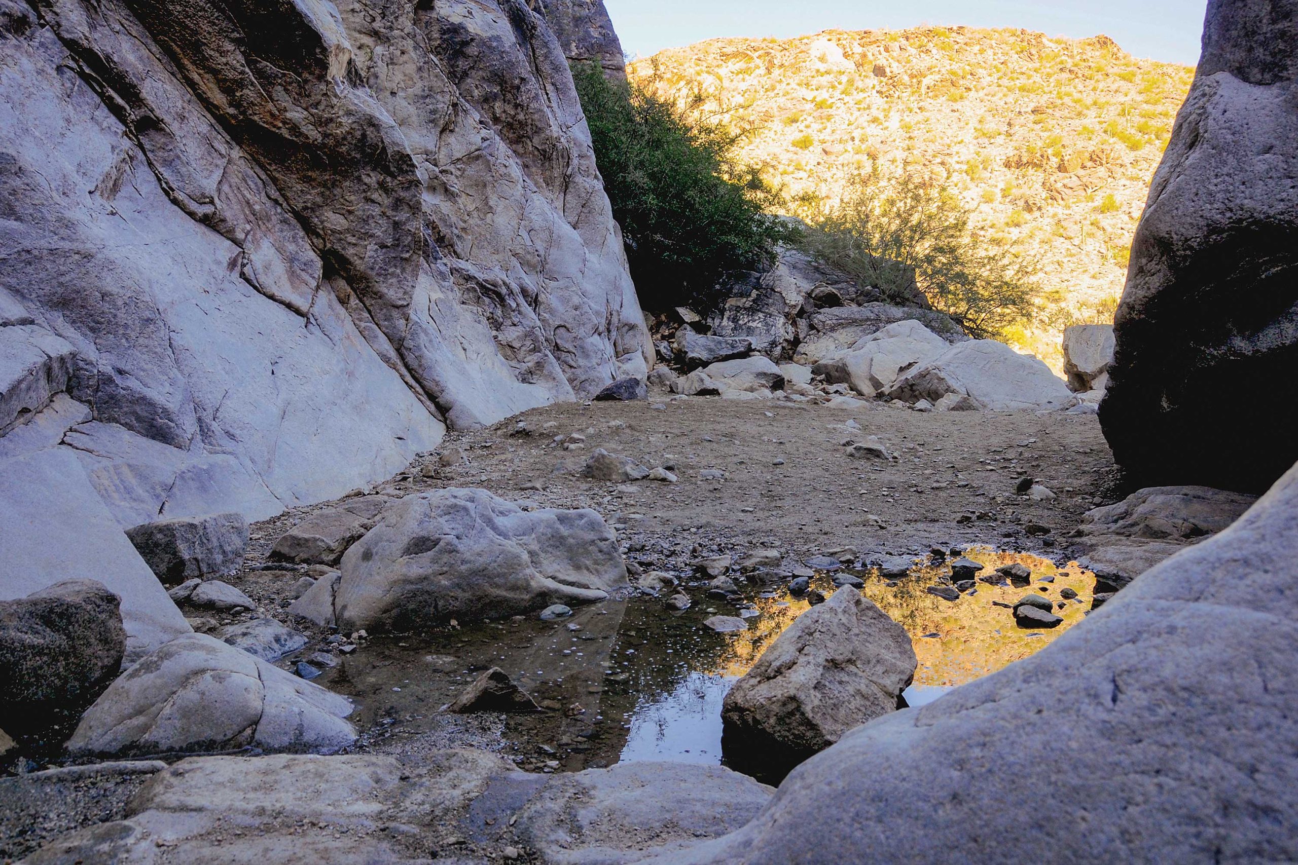 PHM0824WATERFALL01 https://www.phoenixmag.com/wp-content/uploads/2024/06/PHM0824WATERFALL01-scaled.jpg