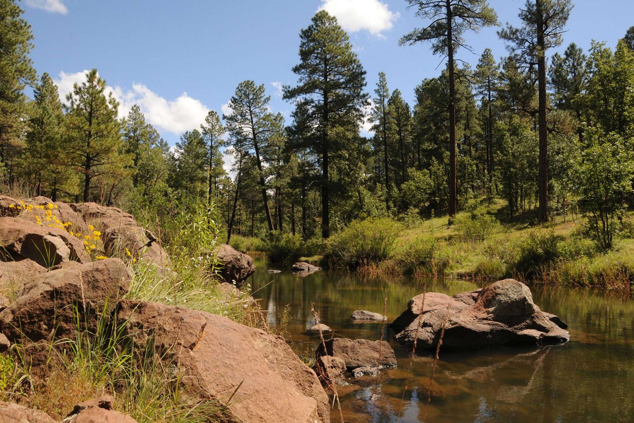 https://www.phoenixmag.com/wp-content/uploads/2024/07/BlueRidgeBillyCreek23-1280x853.jpg