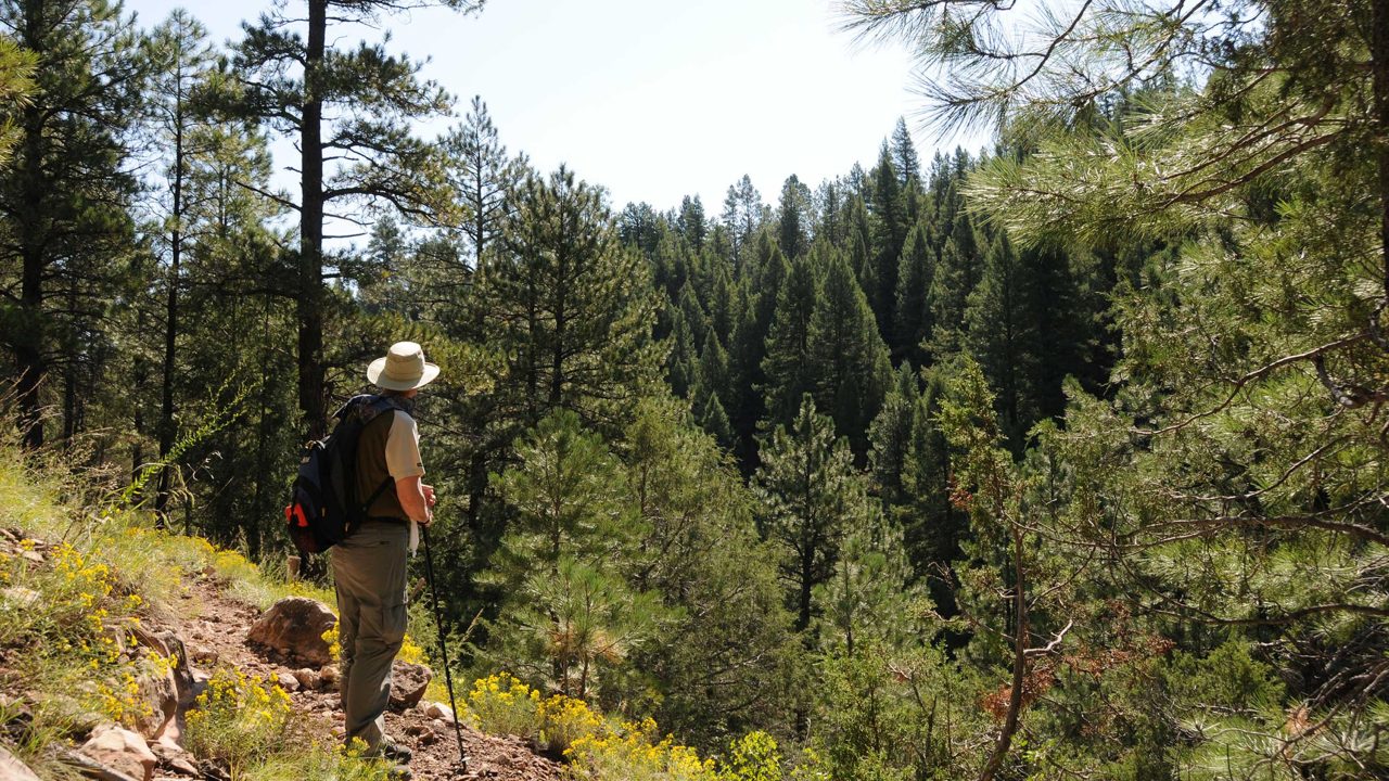 https://www.phoenixmag.com/wp-content/uploads/2024/07/canyon-1280x720.jpg
