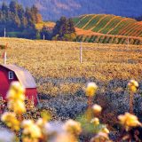 Oregon Food Tour