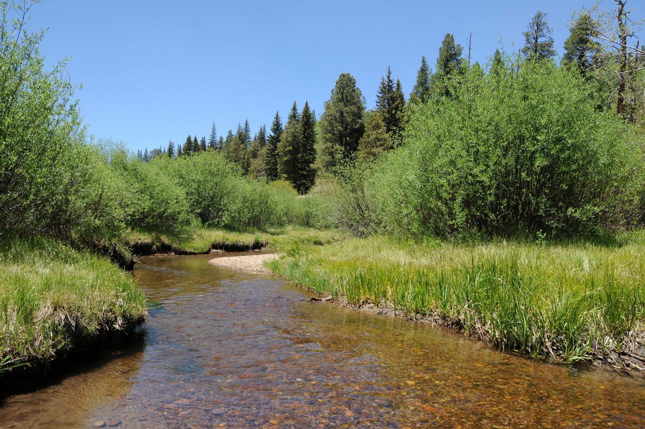 https://www.phoenixmag.com/wp-content/uploads/2024/08/SheepCrossing992-1280x853.jpg
