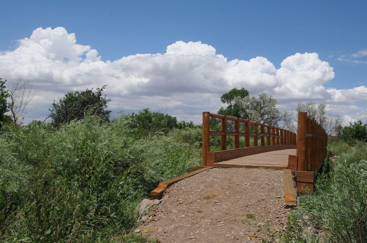 https://www.phoenixmag.com/wp-content/uploads/2024/08/bridge84-1280x850.jpg
