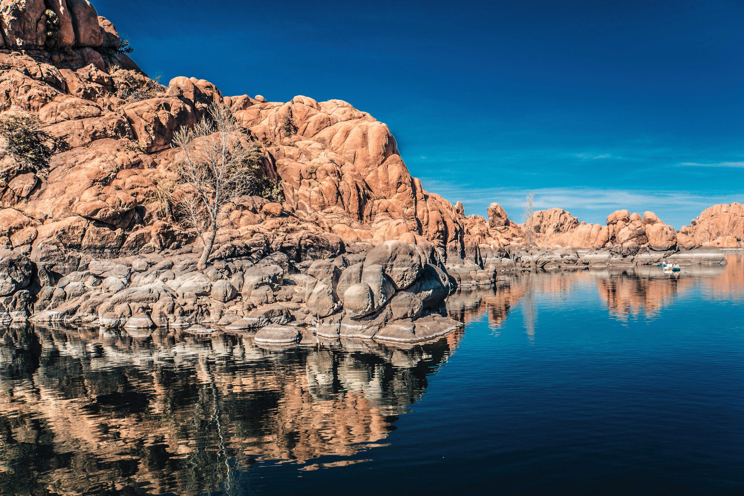 AdobeStock_216739529 https://www.phoenixmag.com/wp-content/uploads/2024/09/AdobeStock_216739529-scaled.jpg