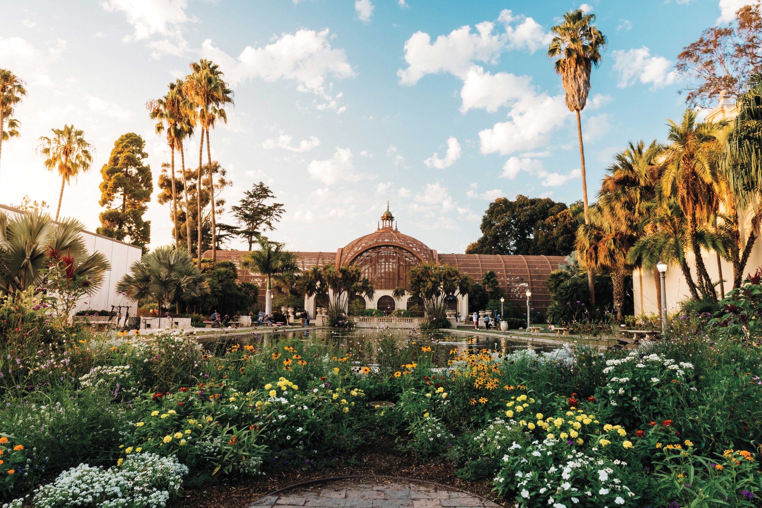 AdobeStock_298315617 https://www.phoenixmag.com/wp-content/uploads/2024/09/AdobeStock_298315617-scaled.jpg