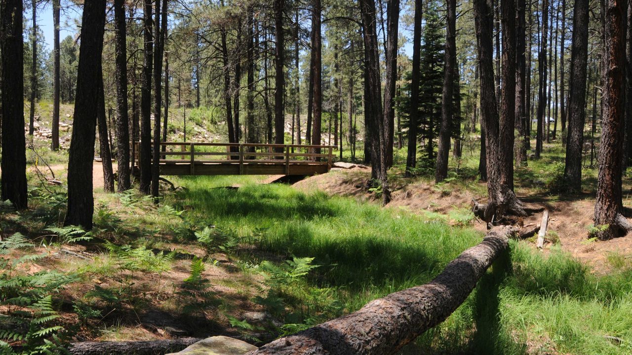 https://www.phoenixmag.com/wp-content/uploads/2024/09/Footbridge67-1280x720.jpg