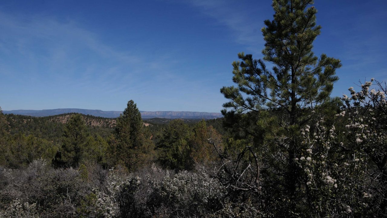 https://www.phoenixmag.com/wp-content/uploads/2024/09/GreggsCeanothusView887-1280x720.jpg