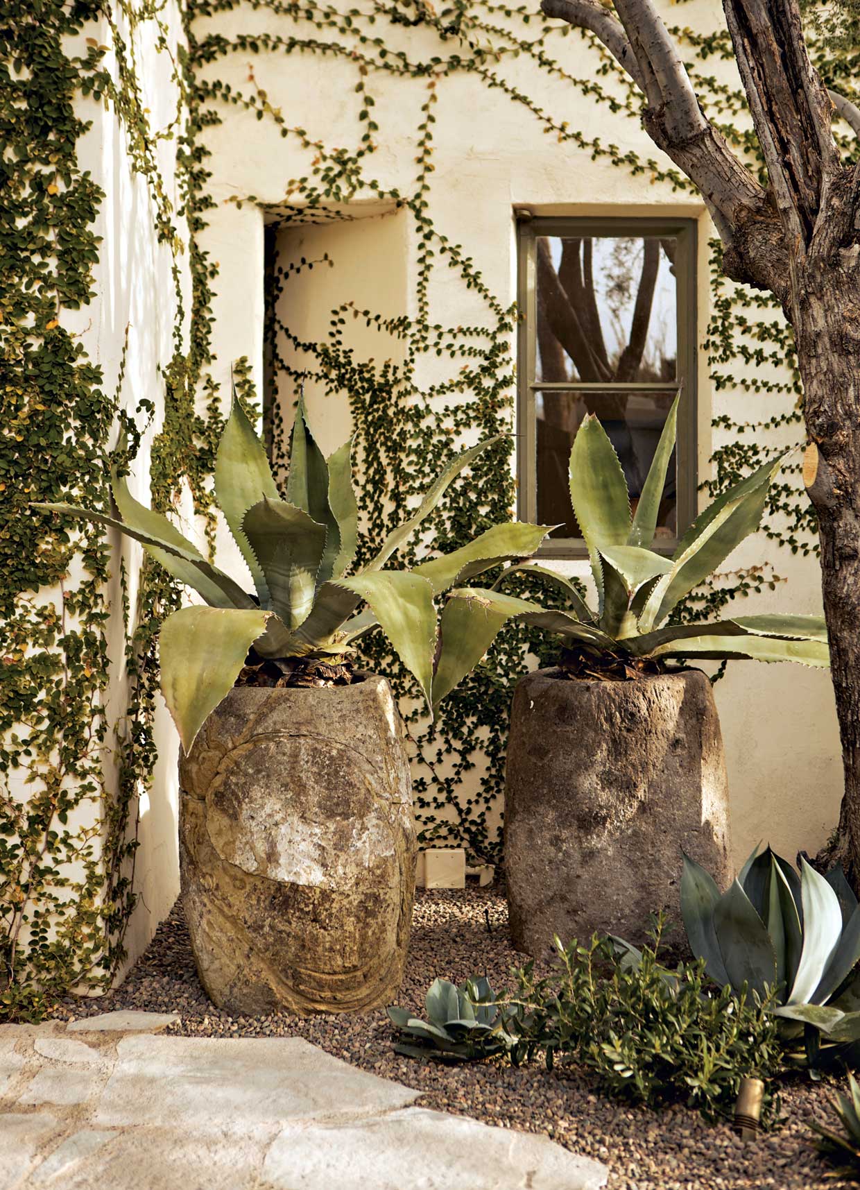Ray added many of the homeowner’s favorite aloes and agaves, inspired by Grant’s time living in Southern California, into the garden. “A palette of hardy succulents, shrubs, cacti and accents were used throughout the spaces for a cohesive feel and sensibility,” the landscape designer says. Ray added many of the homeowner’s favorite aloes and agaves, inspired by Grant’s time living in Southern California, into the garden. “A palette of hardy succulents, shrubs, cacti and accents were used throughout the spaces for a cohesive feel and sensibility,” the landscape designer says.