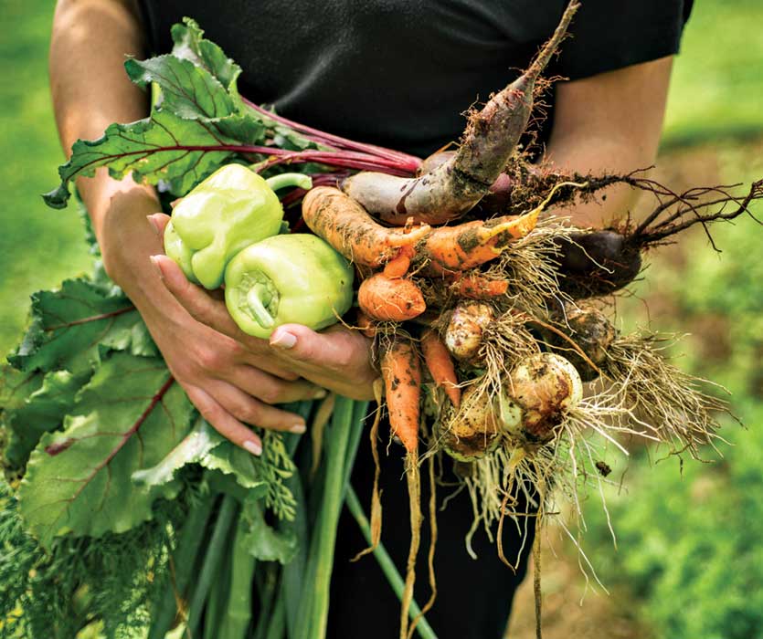 The FAB5 program via Agriscaping gives families their own dedicated certified educator to coach kids through the gardening process.