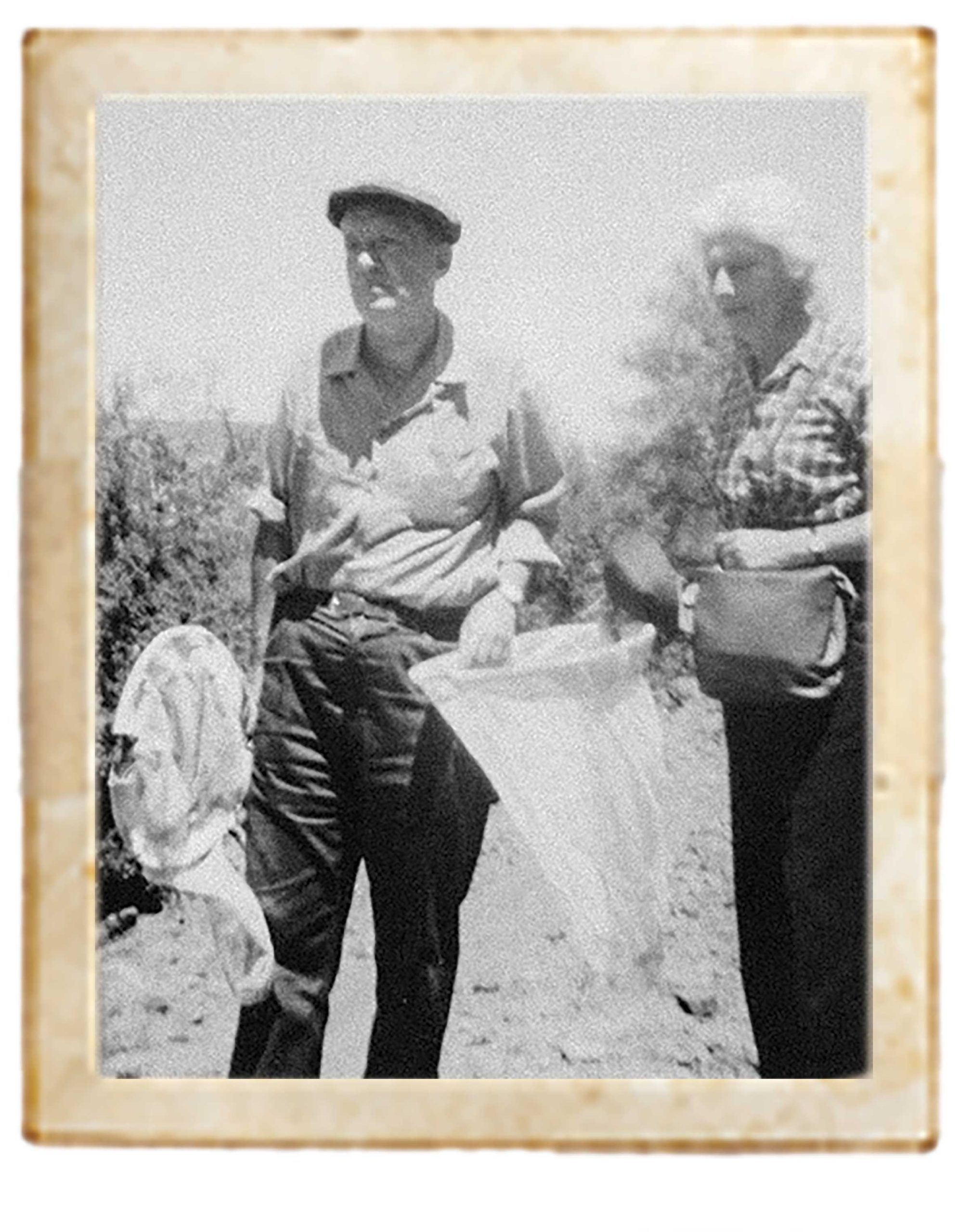 with wife Vera hunting butterflies at Oak Creek in 1959