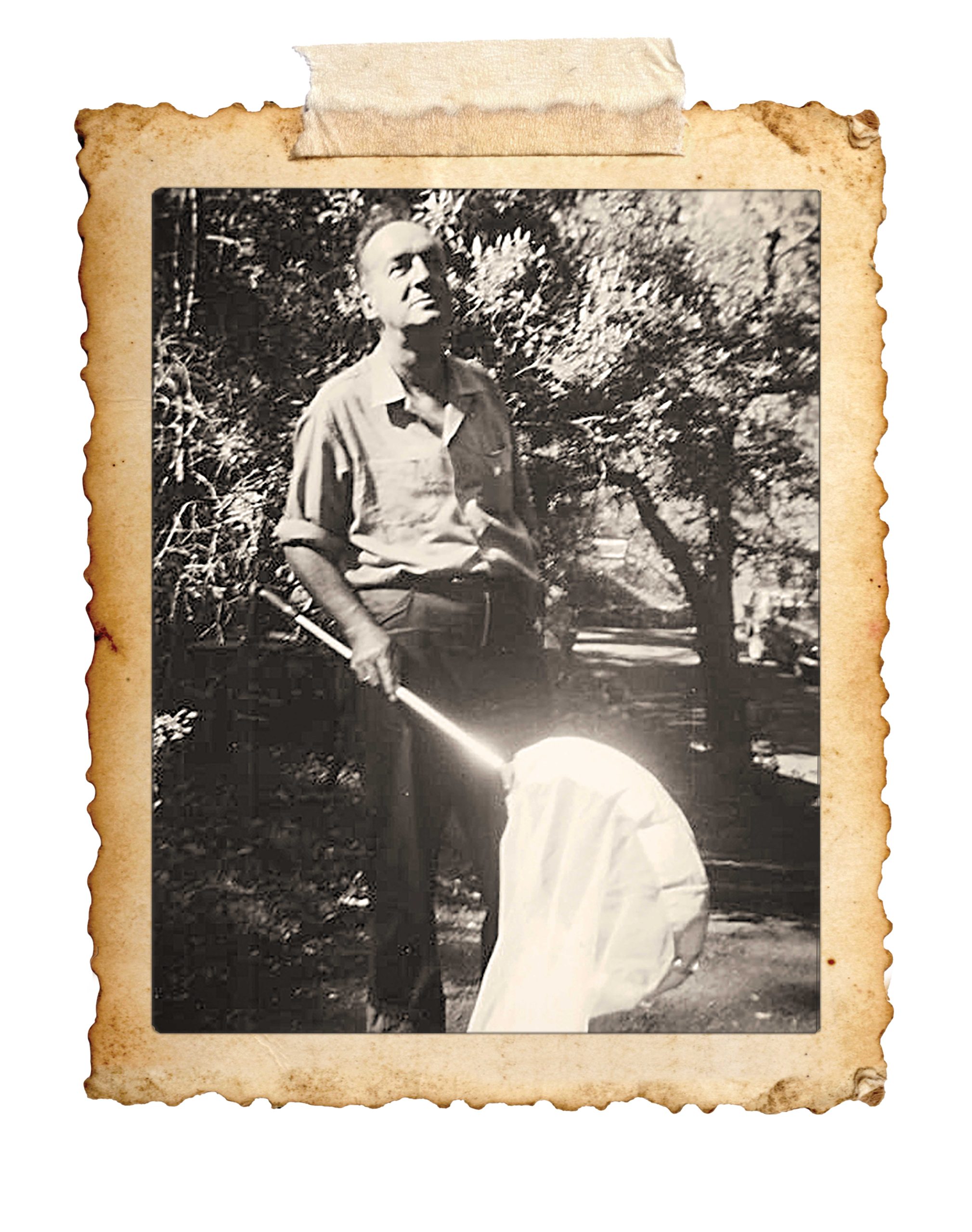 Nabokov butterfly hunting near Oak Creek Canyon in July 1959