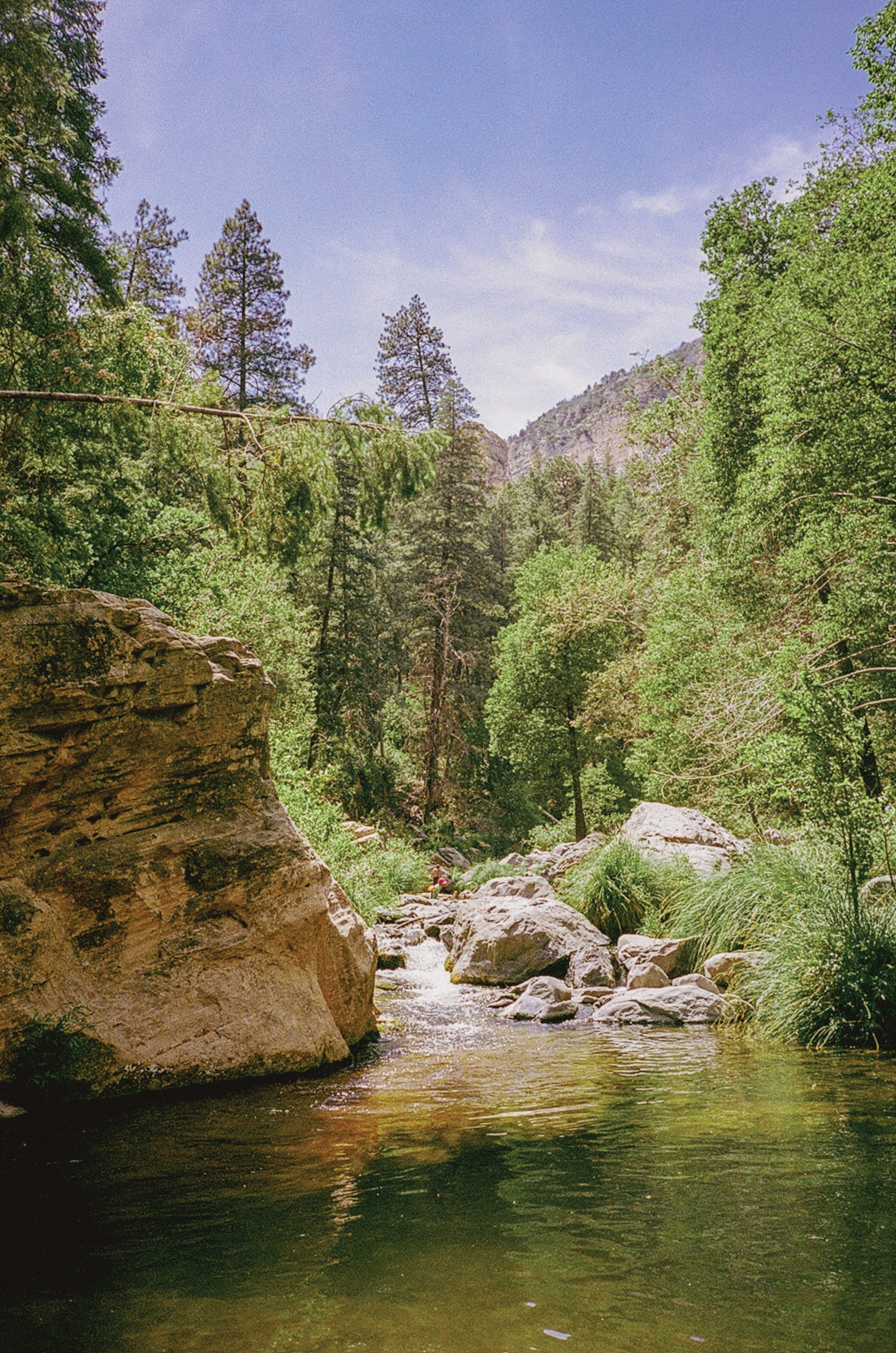 Downstream from Nabokov's cabin at Oak Creek