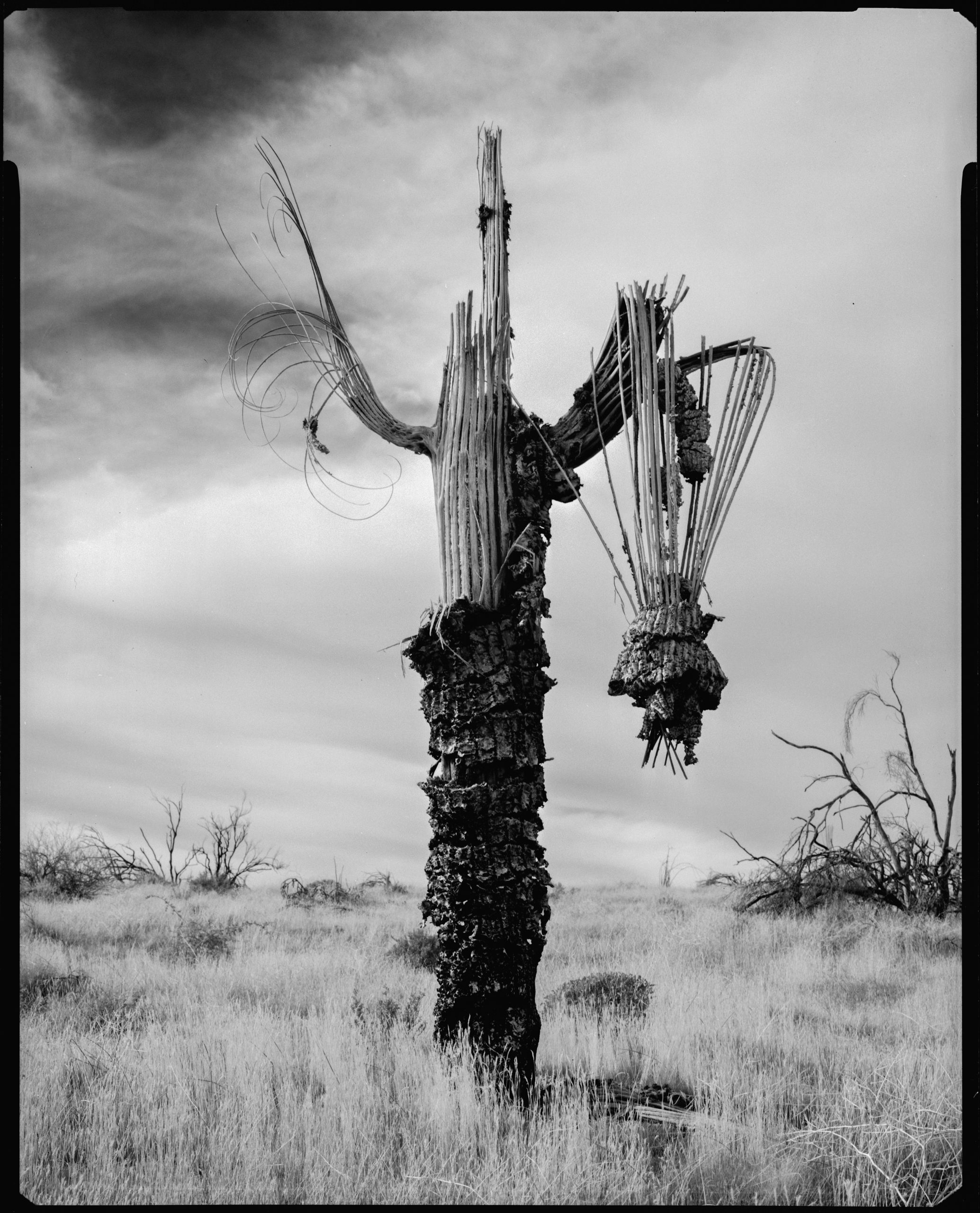 PHM1024PHOTO03 https://www.phoenixmag.com/wp-content/uploads/2024/09/PHM1024PHOTO03-scaled.jpg