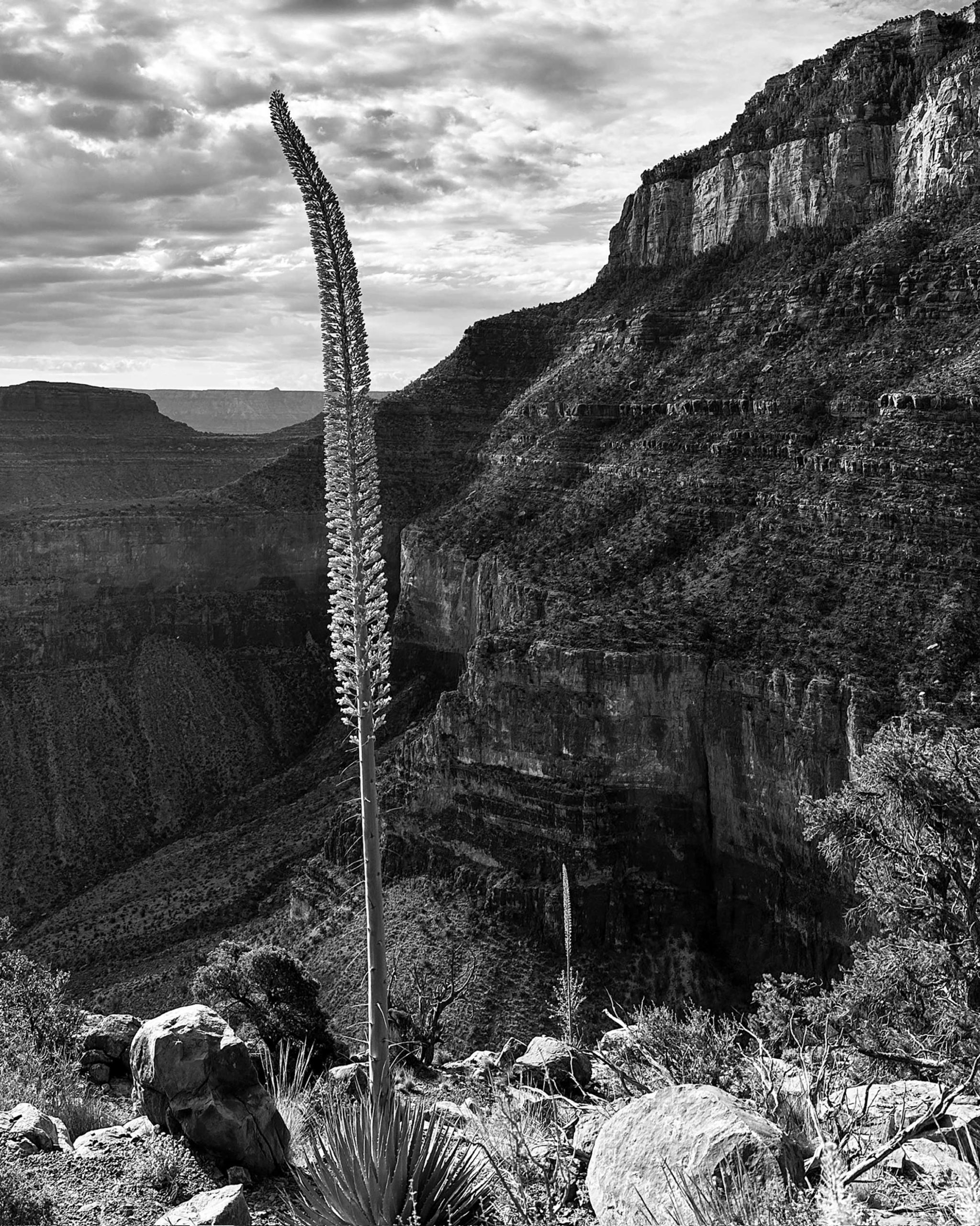 PHM1024PHOTO04 https://www.phoenixmag.com/wp-content/uploads/2024/09/PHM1024PHOTO04-scaled.jpg