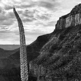 14th Annual Readers' Photo Contest: Eerie Arizona