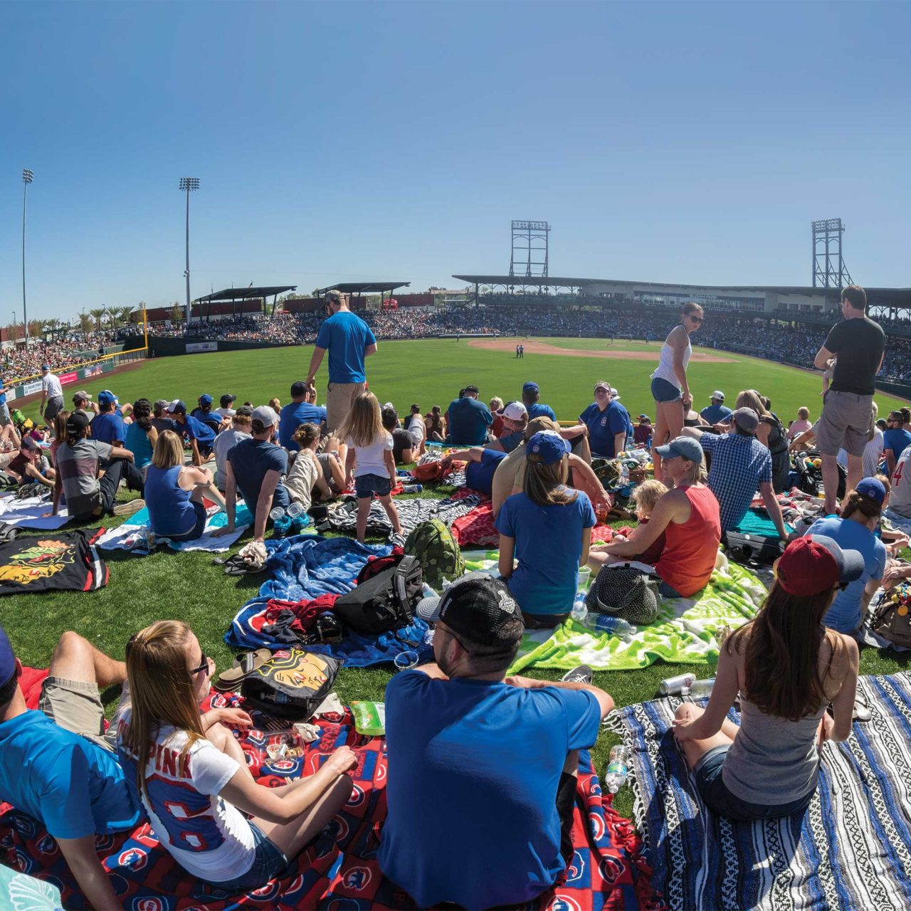 A Newcomer’s Guide to Cactus League Spring Training