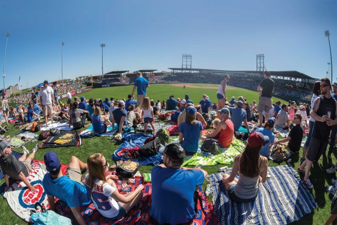 A Newcomer’s Guide to Cactus League Spring Training A Newcomer’s Guide to Cactus League Spring Training