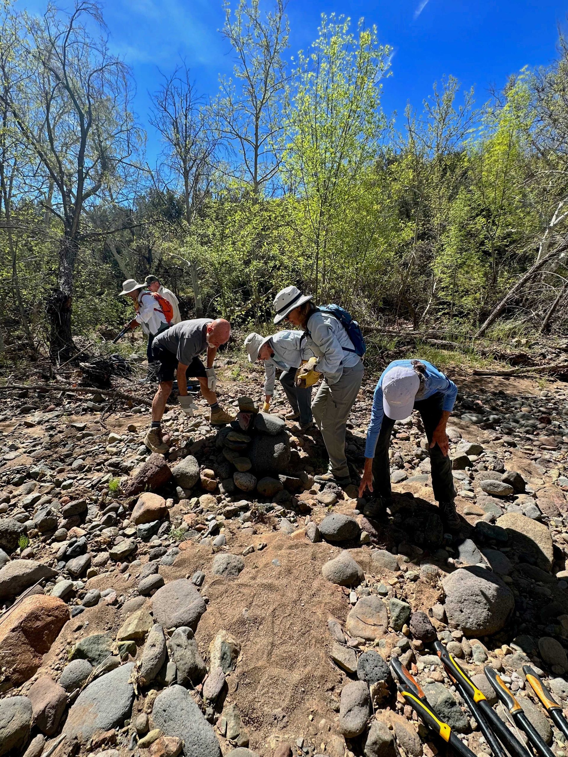 Friends of the Tonto National Forest repair damage on the Sheep Creek Trail Friends of the Tonto National Forest repair damage on the Sheep Creek Trail