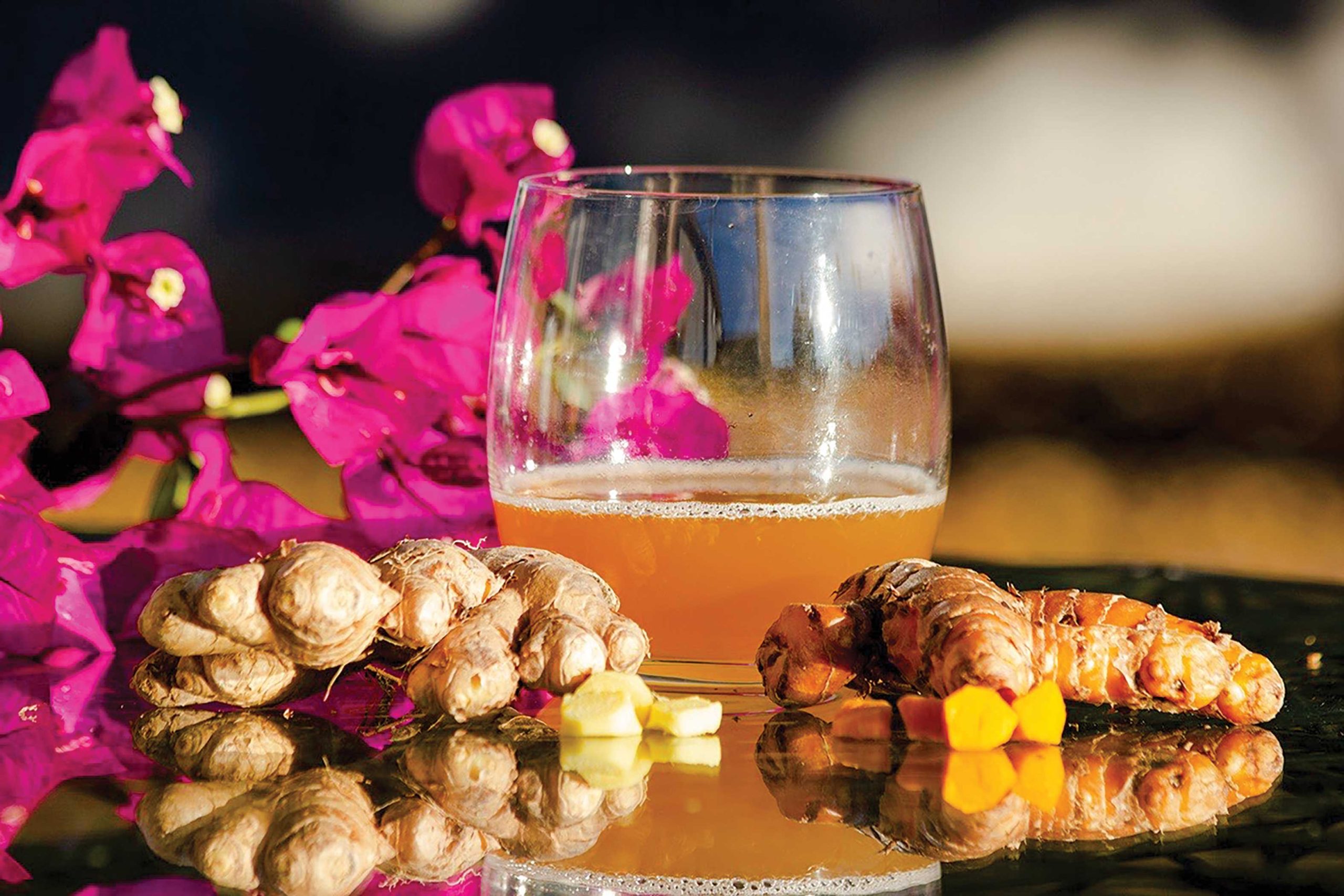 Photo Courtesy Milly Moon Kombucha