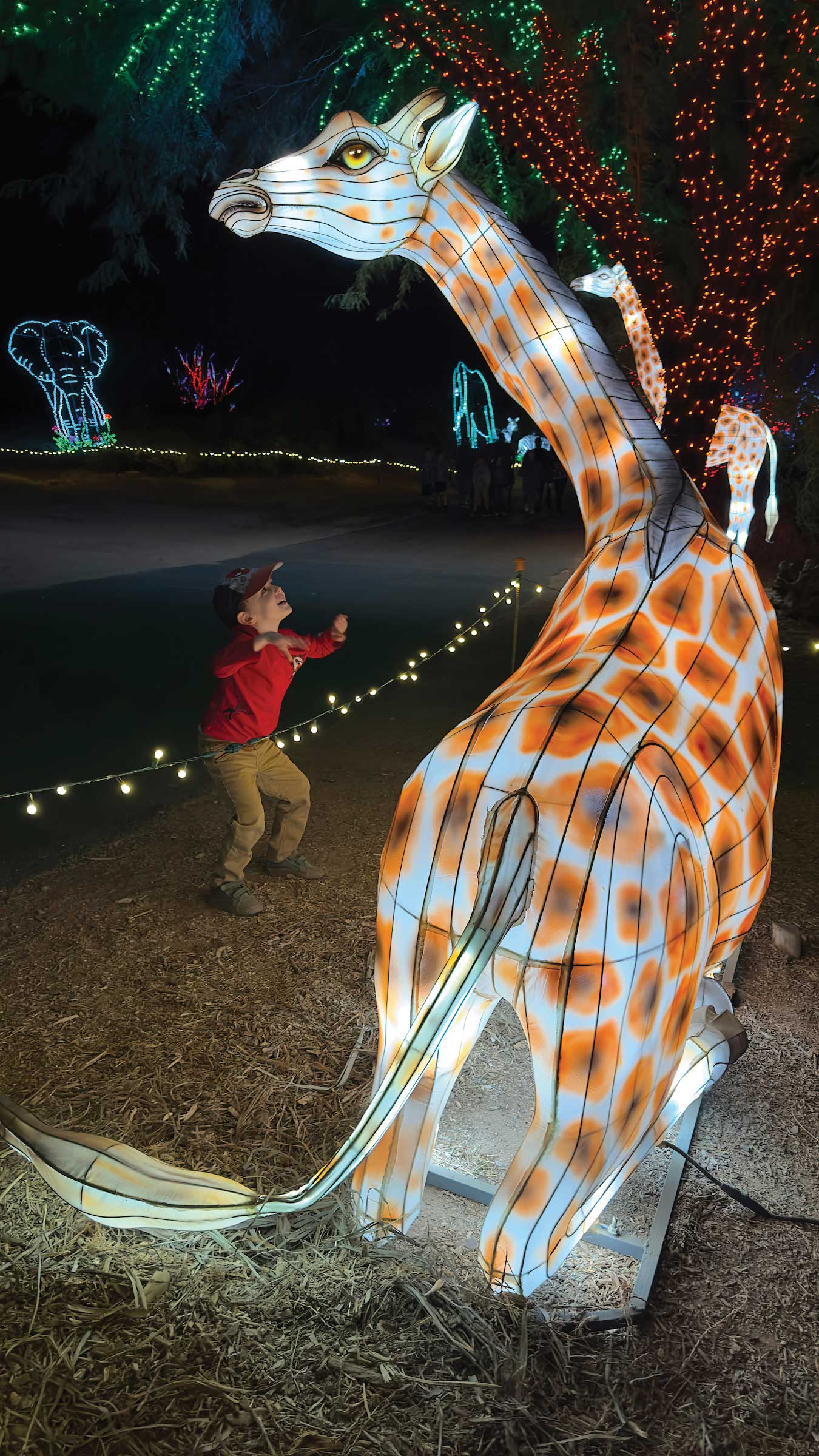 ZooLights in 2023