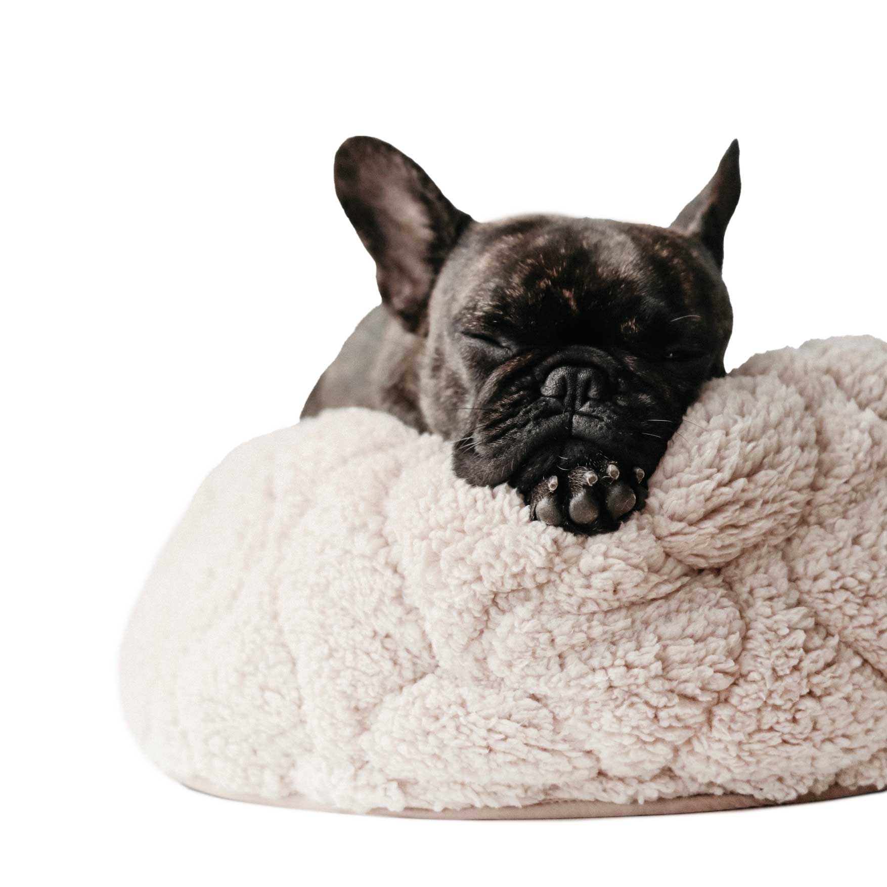 PHM1224PIXIESTICKSBED01 https://www.phoenixmag.com/wp-content/uploads/2024/10/PHM1224PIXIESTICKSBED01.jpg
