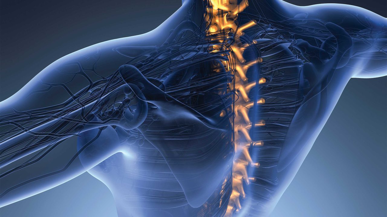 https://www.phoenixmag.com/wp-content/uploads/2024/11/MD2025CHIROOPENER01-1280x720.jpg