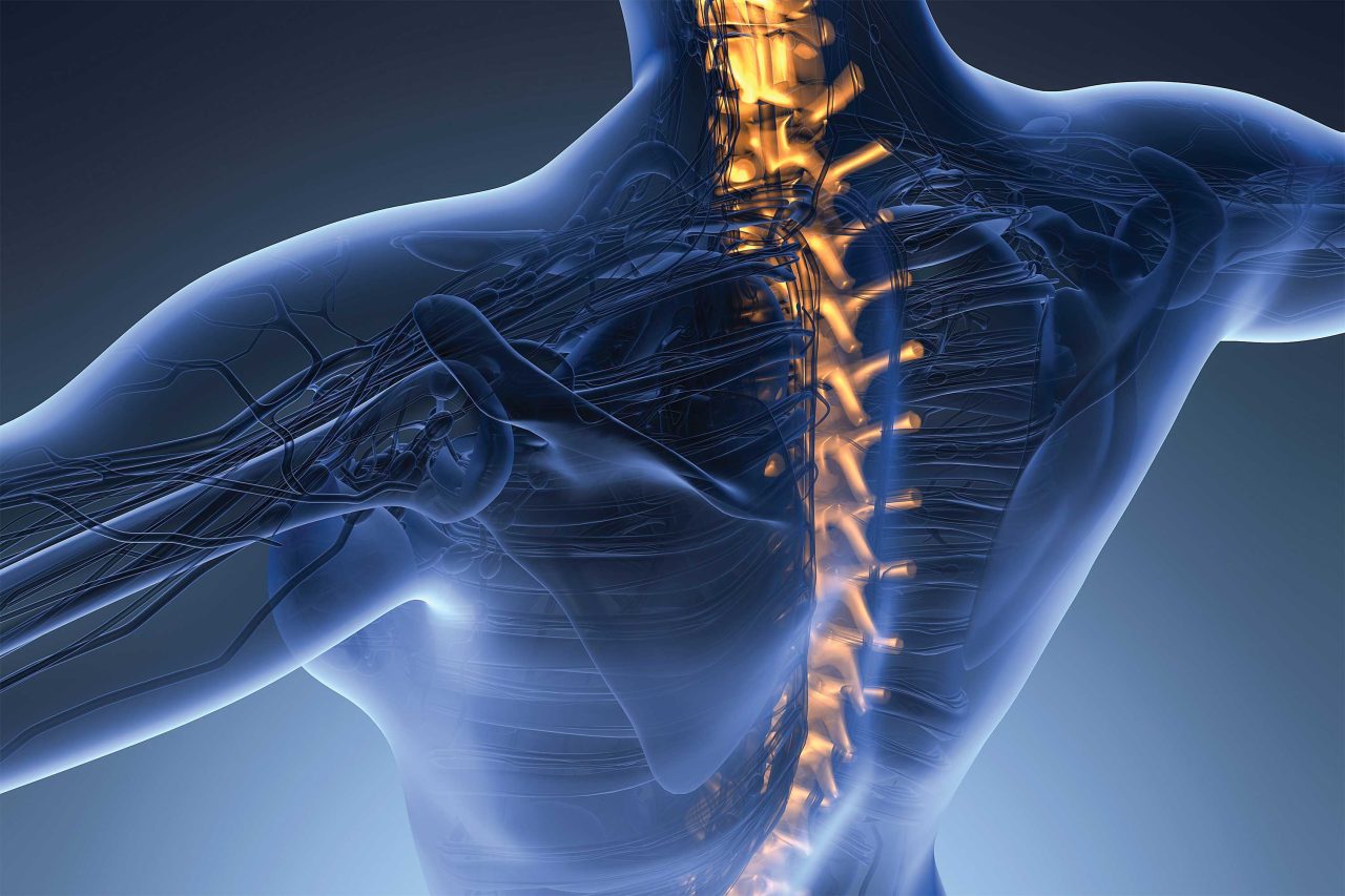 https://www.phoenixmag.com/wp-content/uploads/2024/11/MD2025CHIROOPENER01-1280x853.jpg